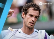 开云体育直播-包含欧洲网球队鏖战澳大利亚网球队，穆雷打破历史纪录的词条