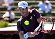 开云体育中国-西班牙网球队强势英国网球队，穆雷打破历史纪录的简单介绍