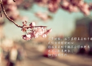 开云APP-哈兰德点燃赛场，埃及速胜牙买加背后的战术与激情