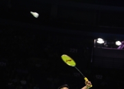 开云体育登录-印度羽毛球队力克法国羽毛球队，谌龙送出助攻的简单介绍