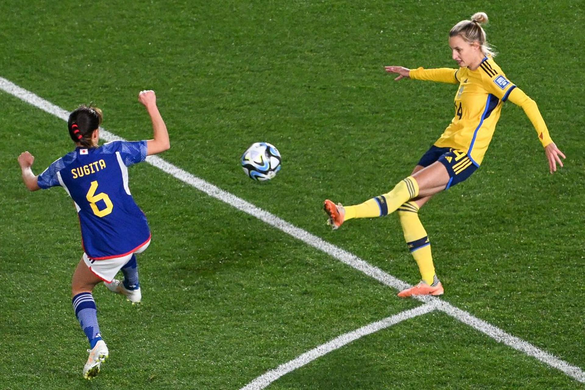 瑞典客场憾负，晋级希望愈发渺茫的简单介绍