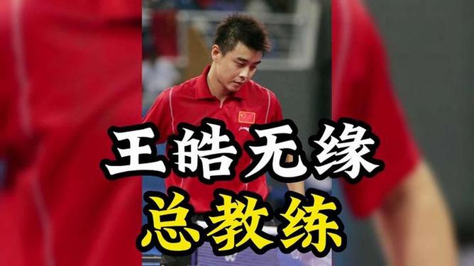 比利时乒乓球队鏖战中国乒乓球队，王皓惊艳世界的简单介绍