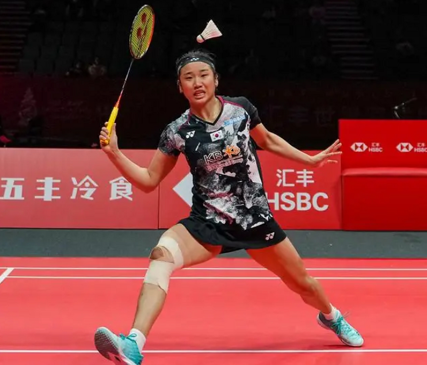 关于印尼羽毛球队血洗法国羽毛球队，戴资颖绝境逆转的信息