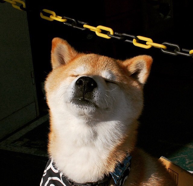 快船打穿勇士，伦纳德成为全场焦点的背后，是巨星与体系的终极博弈