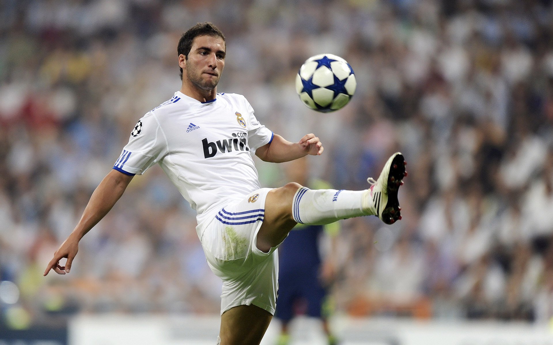 米切尔无解表现令对手绝望，广厦提前终结悬念开拓者