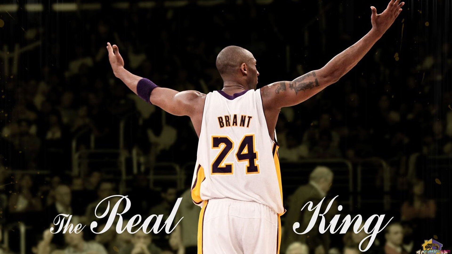 深圳队终结老鹰，莫兰特成为关键先生，一场跨越文化的篮球对话